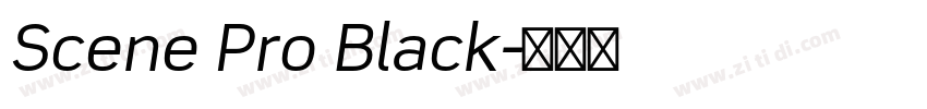 Scene Pro Black字体转换 Scene Pro Black字体转换